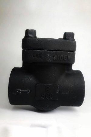 Válvula check 1-1/4" NPT clase 800 ASTM A105 API 598