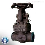 VALVULA DE GLOBO ACERO FORJADO 2" NPT X 800 TRIM 8 API 602-API 598 NEWAY