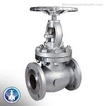 VALVULA DE GLOBO A/ CARBON FUNDIDO WCB 6" BRIDADA CLASE 150 TRIM8-API600 TEST API598 NEWAY